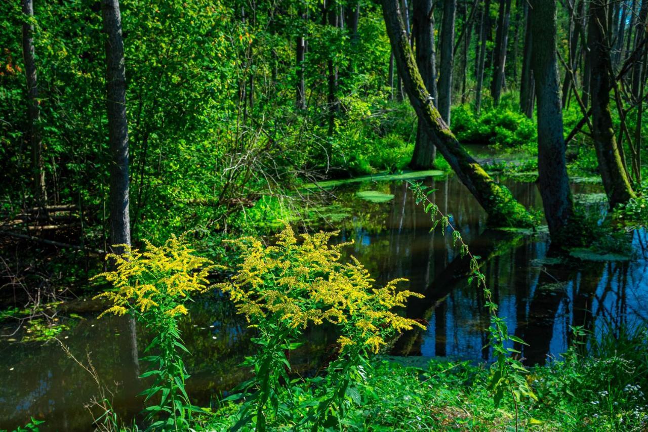 ホテル Lesna Osada Przy Suntago Park Krzyzowka  エクステリア 写真