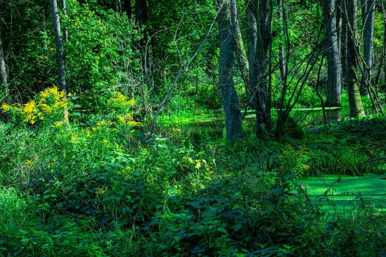 ホテル Lesna Osada Przy Suntago Park Krzyzowka  エクステリア 写真